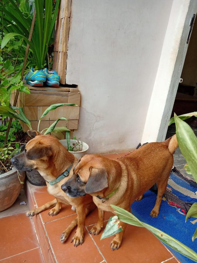 Kol House Bed & Breakfast Phnom Penh Dış mekan fotoğraf
